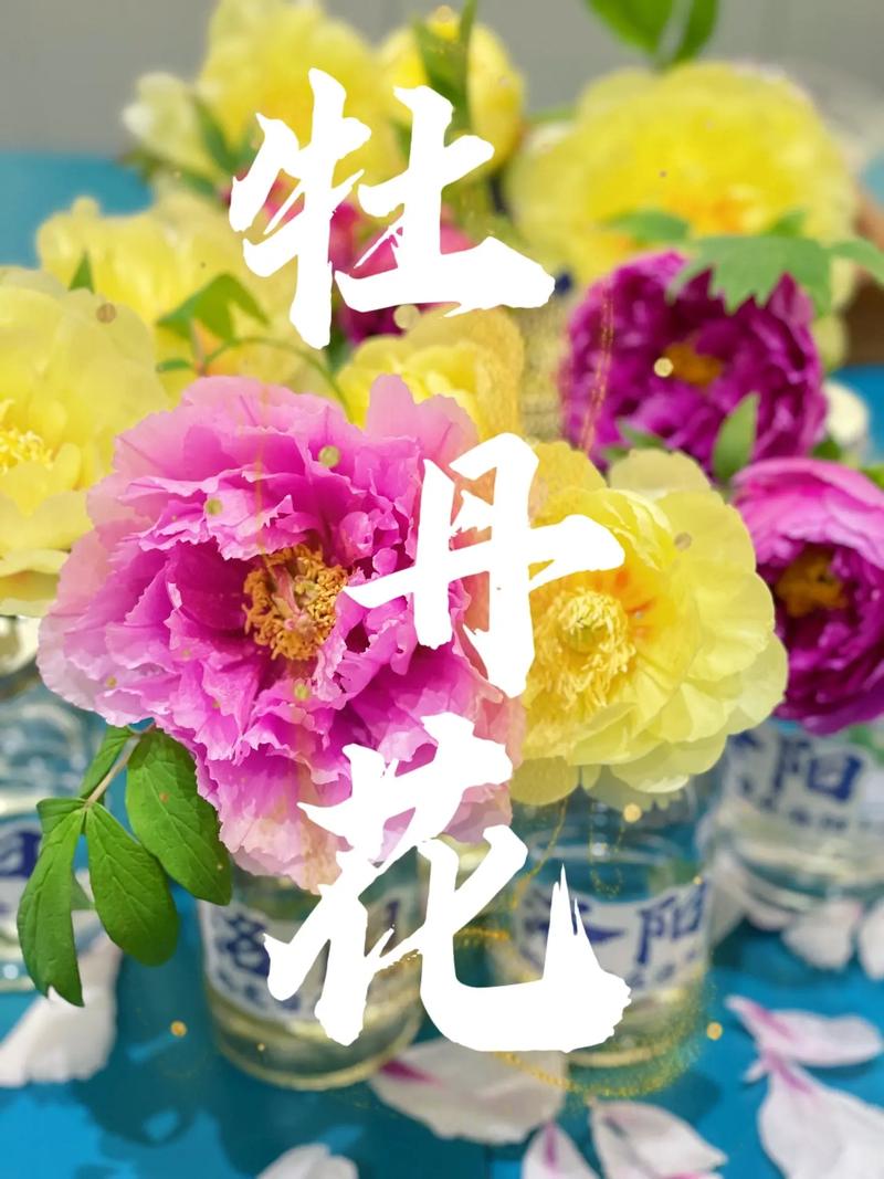 在洛陽|實現牡丹鮮花自由.#薈里文創 超多品類牡丹瓶花,每日