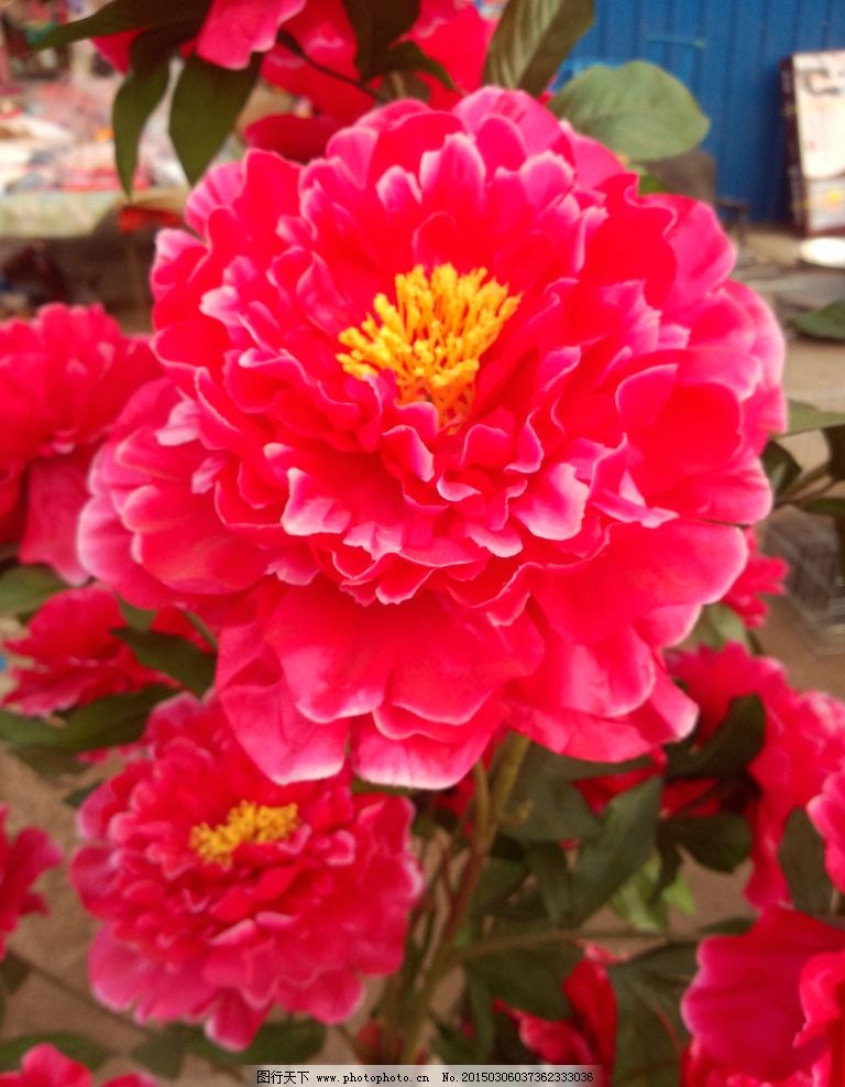 仿真牡丹花圖片